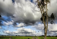 天涯社区国际：全球华人的情感港湾，你了解吗？